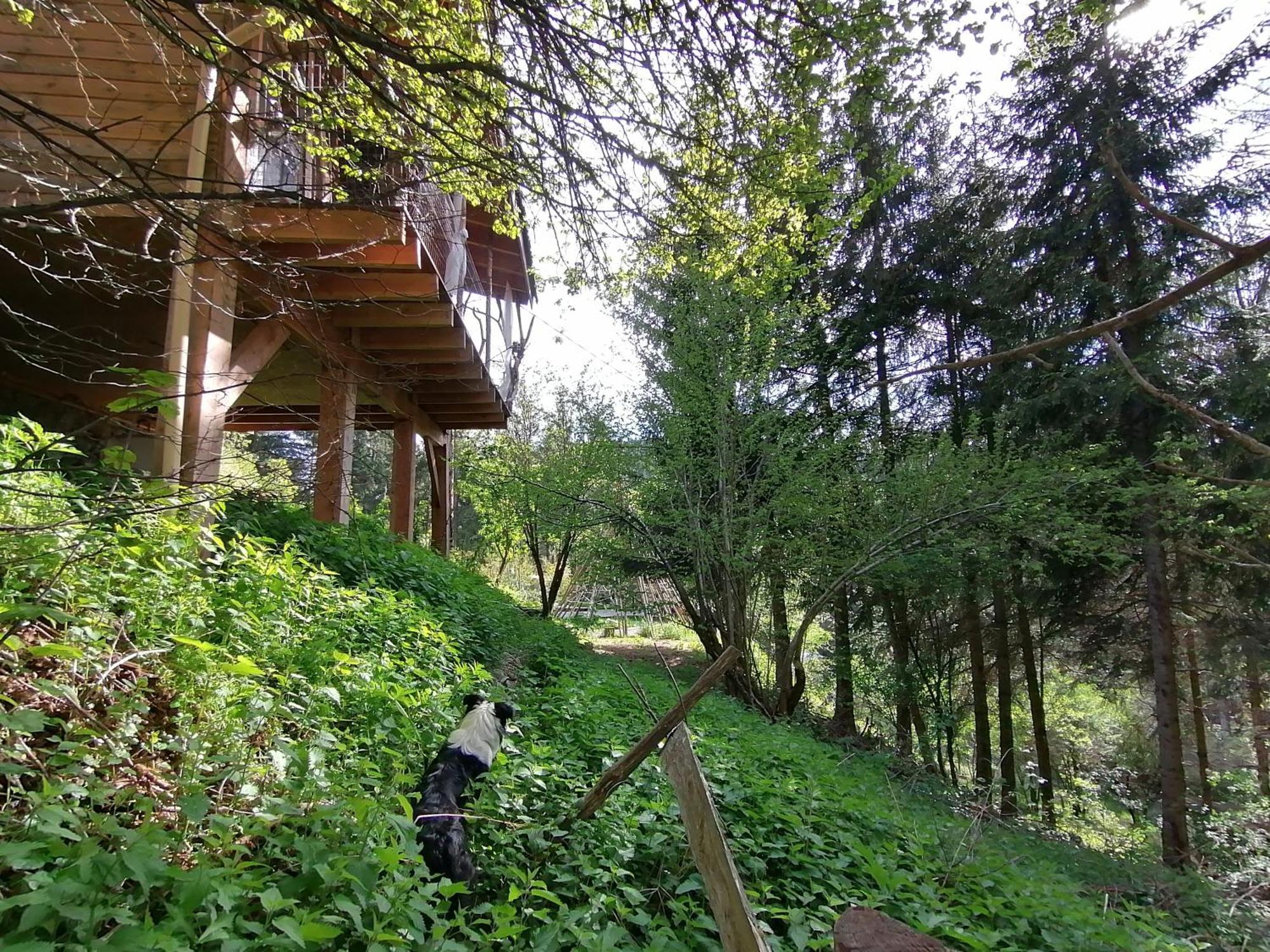 La Fortance Paradis Naturel - Proche De La Ville Planfoy Room photo